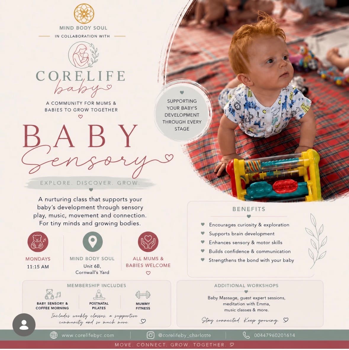Corelife Baby sensory poster